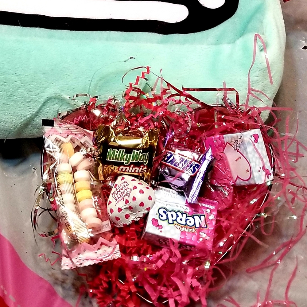 "You  Are Just My Type" plush Gift Set - Picture 5 of 6